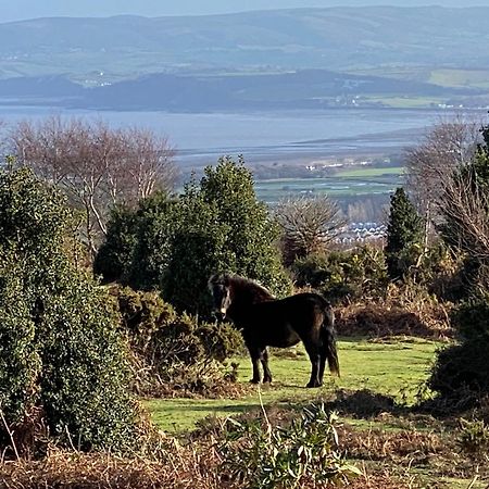 Exmoor Retreat On Two Moors Way Withypool エクステリア 写真