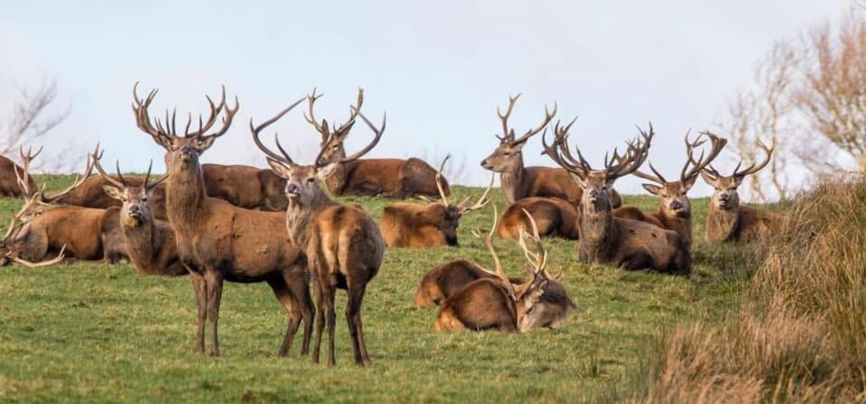 Exmoor Retreat On Two Moors Way Withypool エクステリア 写真