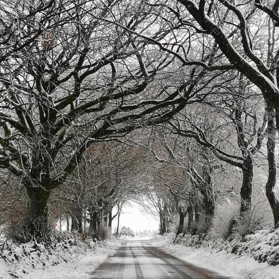 Exmoor Retreat On Two Moors Way Withypool エクステリア 写真