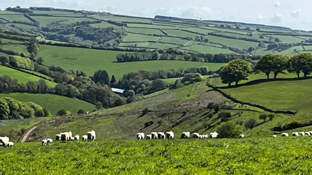 Exmoor Retreat On Two Moors Way Withypool エクステリア 写真