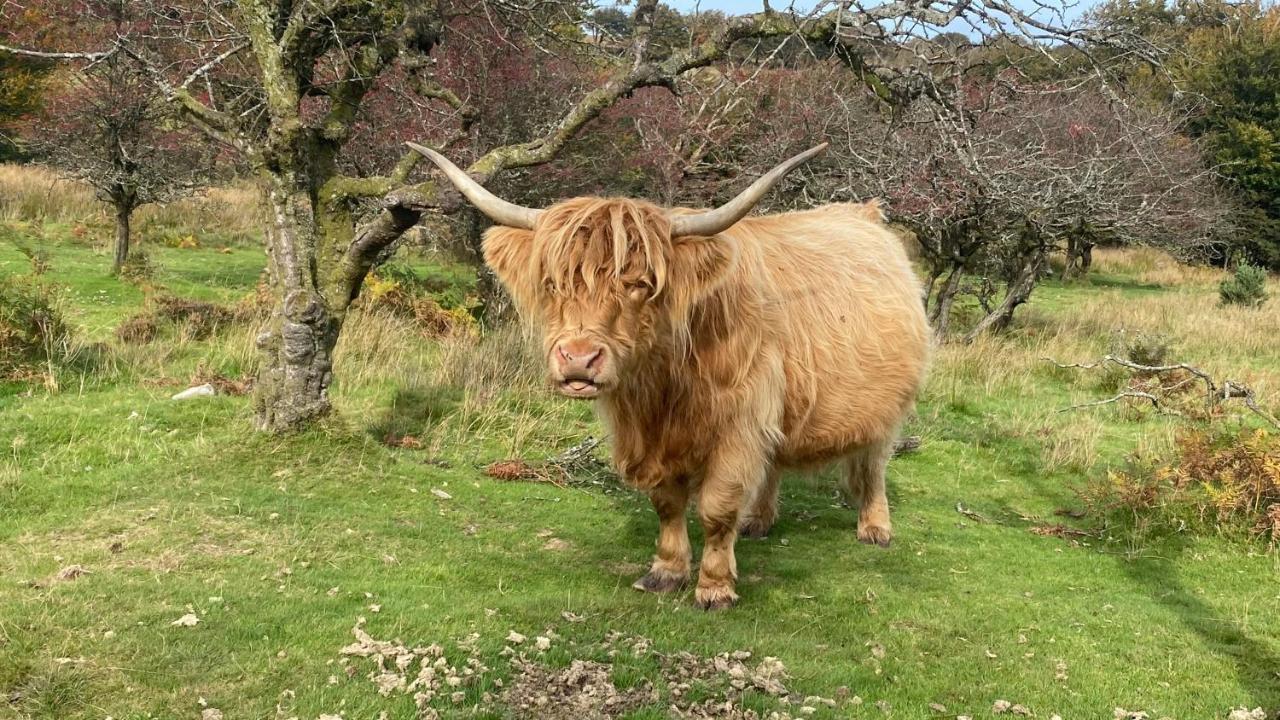 Exmoor Retreat On Two Moors Way Withypool エクステリア 写真