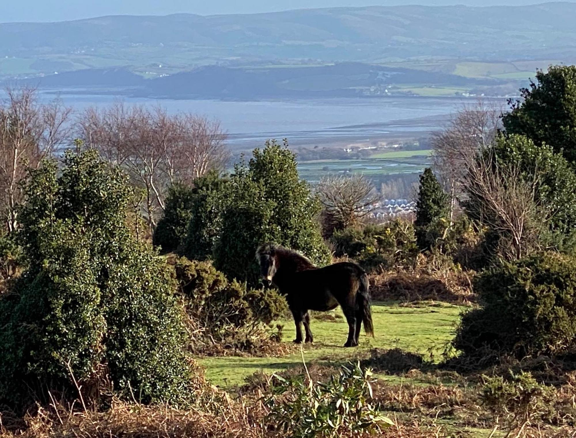 Exmoor Retreat On Two Moors Way Withypool エクステリア 写真