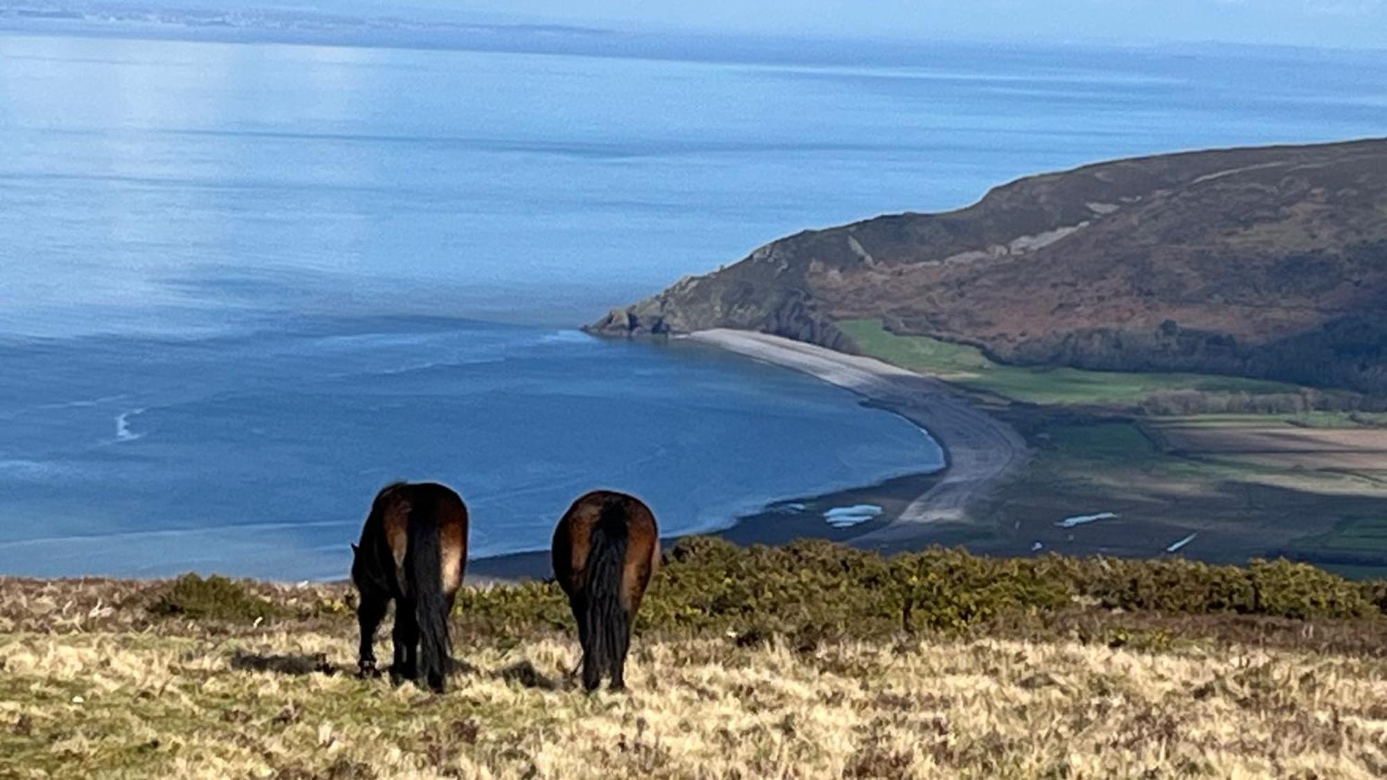 Exmoor Retreat On Two Moors Way Withypool エクステリア 写真