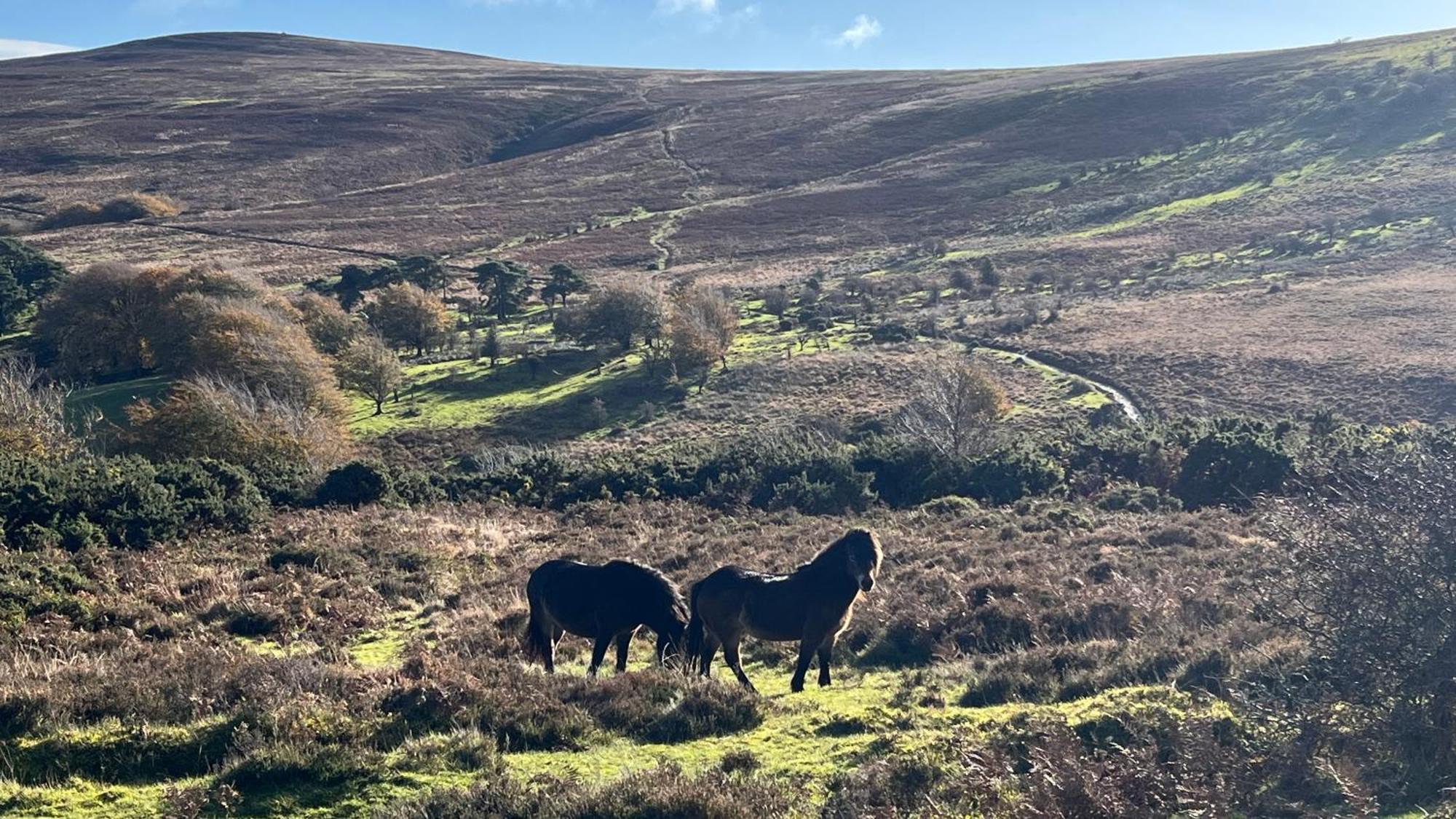 Exmoor Retreat On Two Moors Way Withypool エクステリア 写真